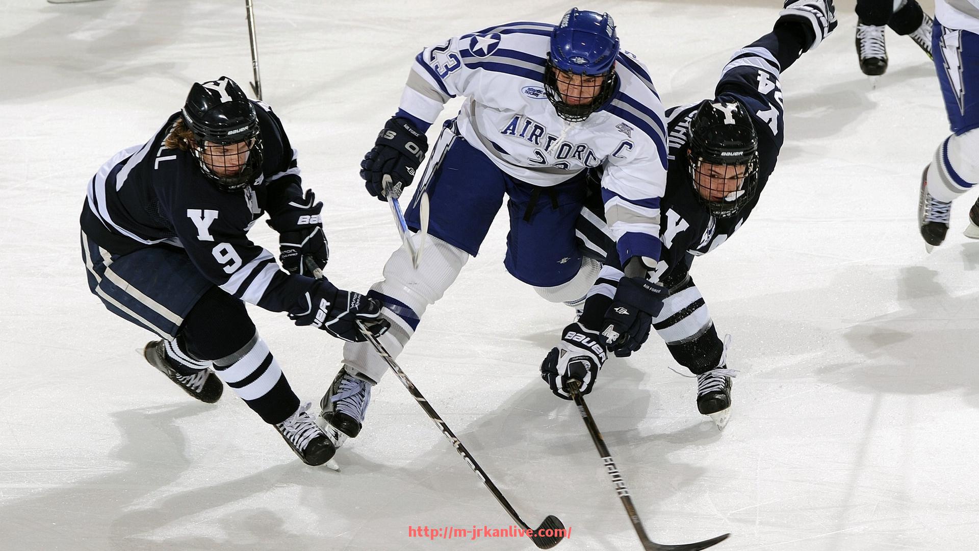 jrkan直播-深圳健身器材市场的主流产品和品牌有哪些？（深圳健身器材市场的主流产品和品牌有哪些）